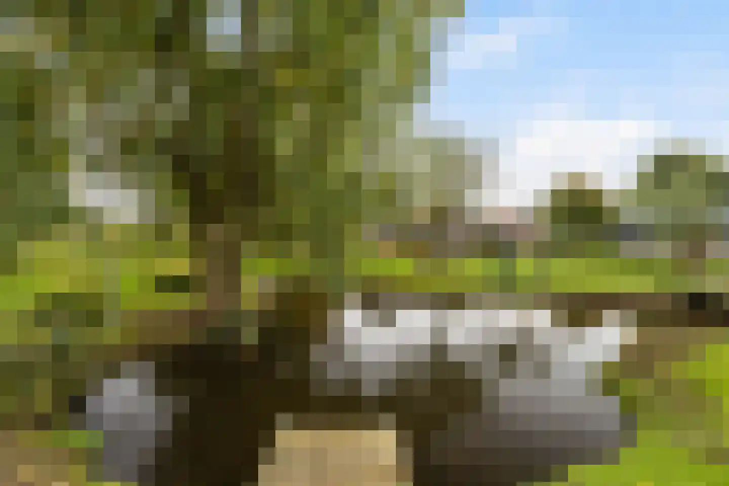 Steinsedijk 43 a Haastrecht thumbnail 26