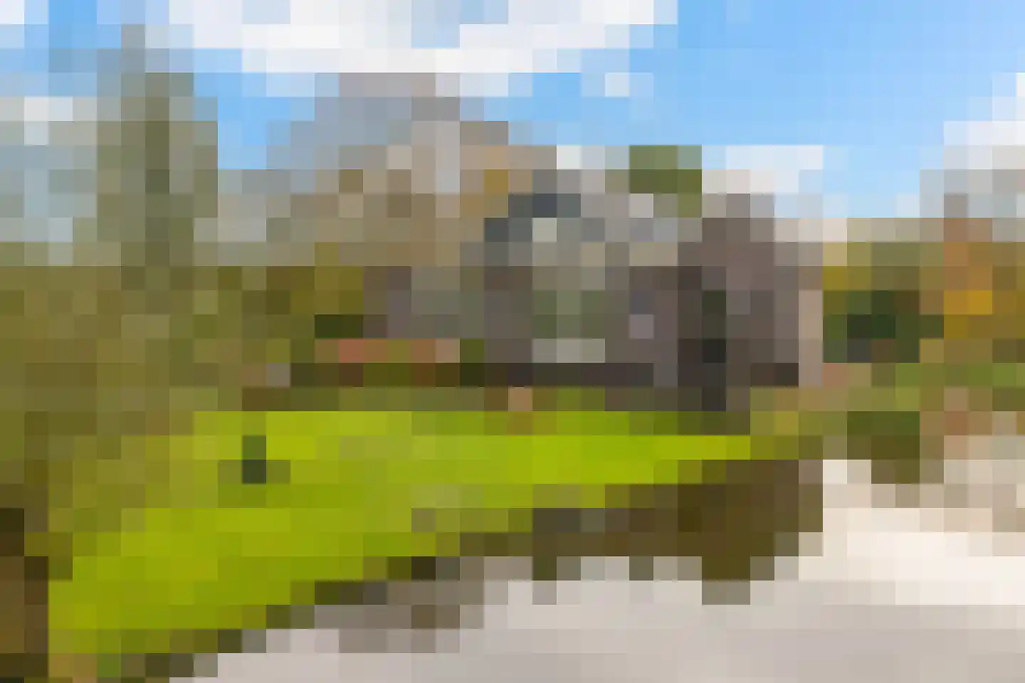 Steinsedijk 43 a Haastrecht thumbnail 31