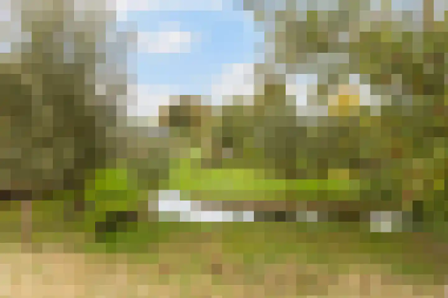 Steinsedijk 43 a Haastrecht thumbnail 5