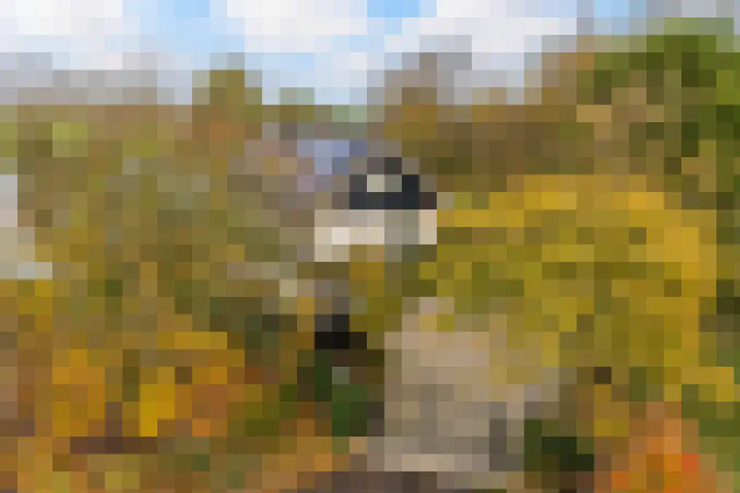 Steinsedijk 43 a Haastrecht thumbnail 6