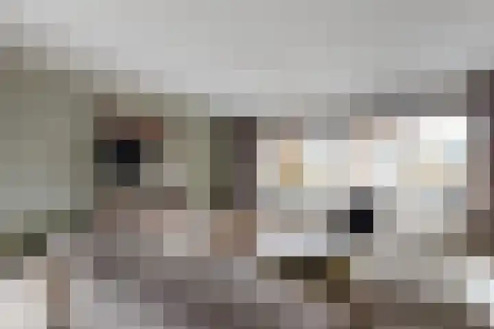 Steinstraat 15 Klundert thumbnail 12