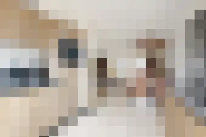 Steinstraat 15 Klundert thumbnail 26