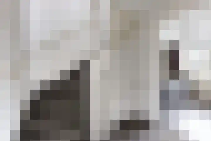 Steinstraat 15 Klundert thumbnail 28