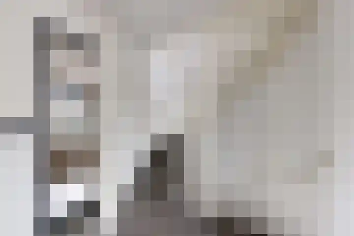 Steinstraat 15 Klundert thumbnail 29