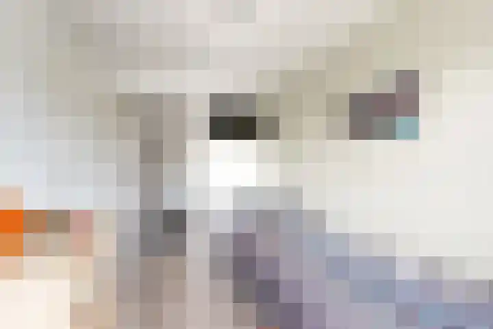 Steinstraat 15 Klundert thumbnail 37
