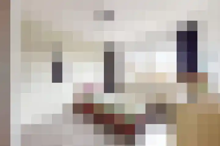 Steinstraat 15 Klundert thumbnail 38