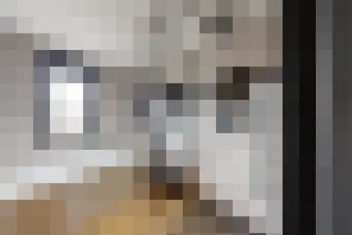 Steinstraat 15 Klundert thumbnail 42