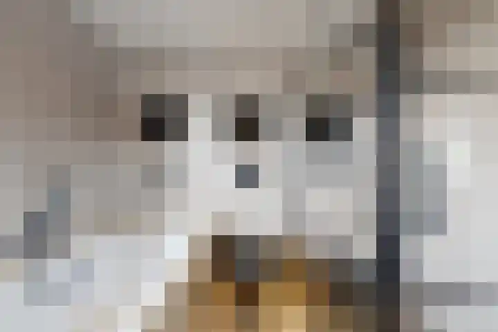 Steinstraat 15 Klundert thumbnail 44