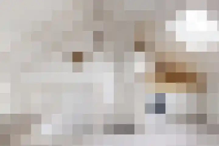 Steinstraat 15 Klundert thumbnail 47