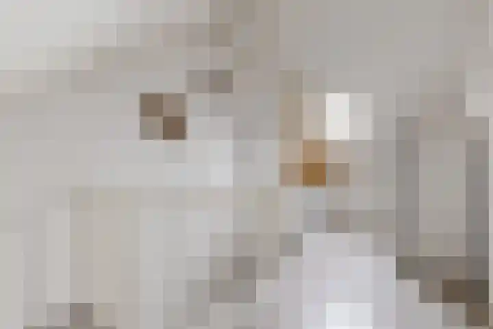Steinstraat 15 Klundert thumbnail 48