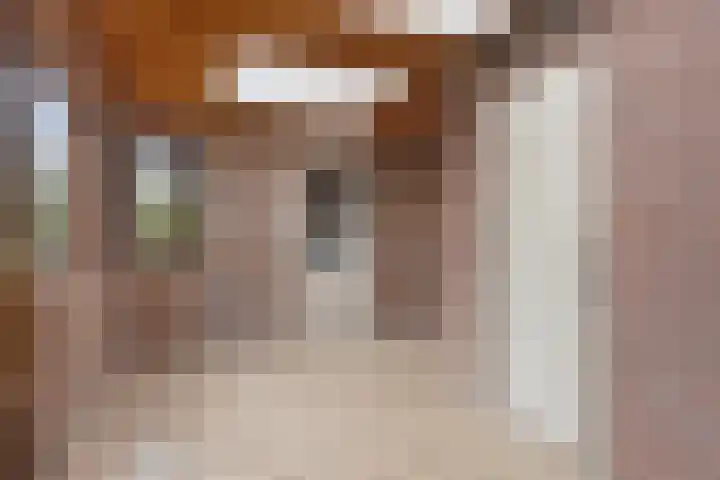 Steinstraat 16 Vaassen thumbnail 10