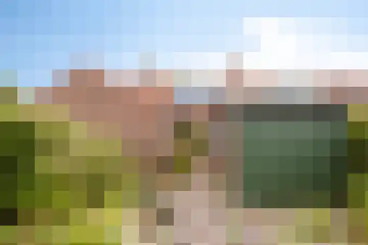 Steinstraat 16 Vaassen thumbnail 20