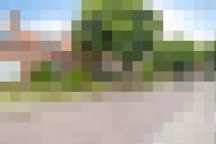 Steinstraat 16 Vaassen thumbnail 22