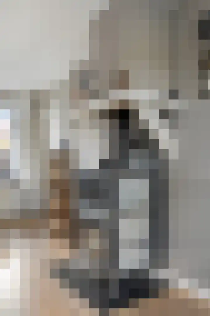 Steinstraat 19 Bruinisse thumbnail 11
