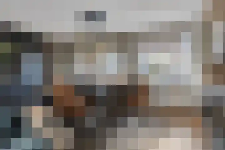 Steinstraat 19 Bruinisse thumbnail 12