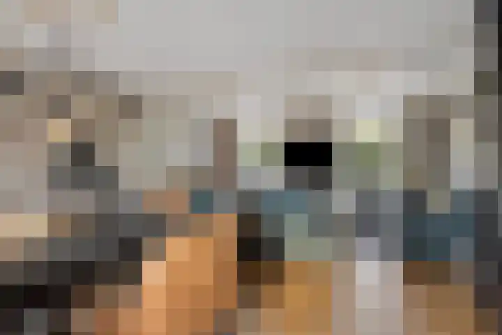 Steinstraat 19 Bruinisse thumbnail 14