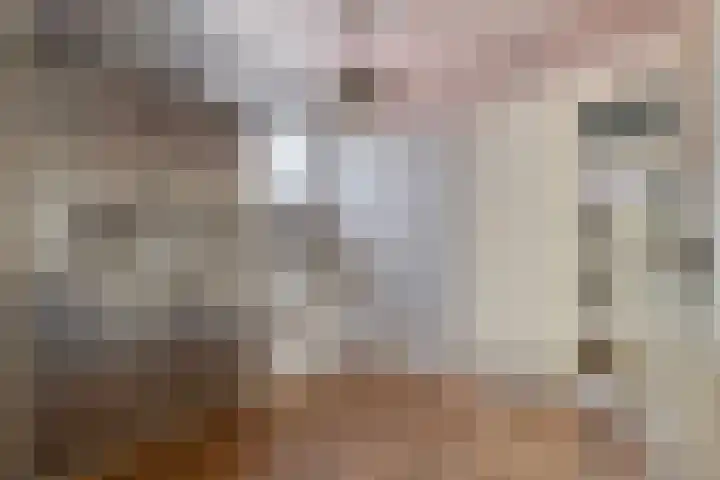 Steinstraat 19 Bruinisse thumbnail 17
