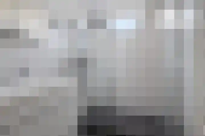 Steinstraat 19 Bruinisse thumbnail 19