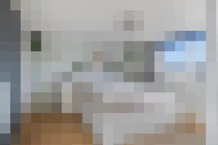 Steinstraat 19 Bruinisse thumbnail 29