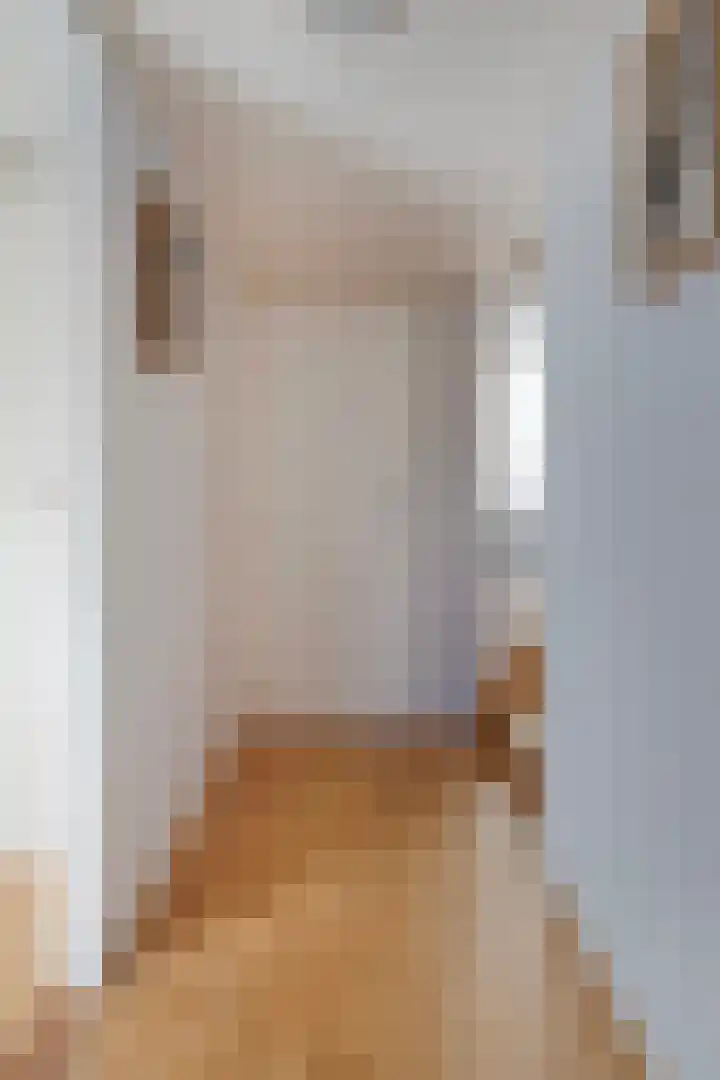 Steinstraat 19 Bruinisse thumbnail 30