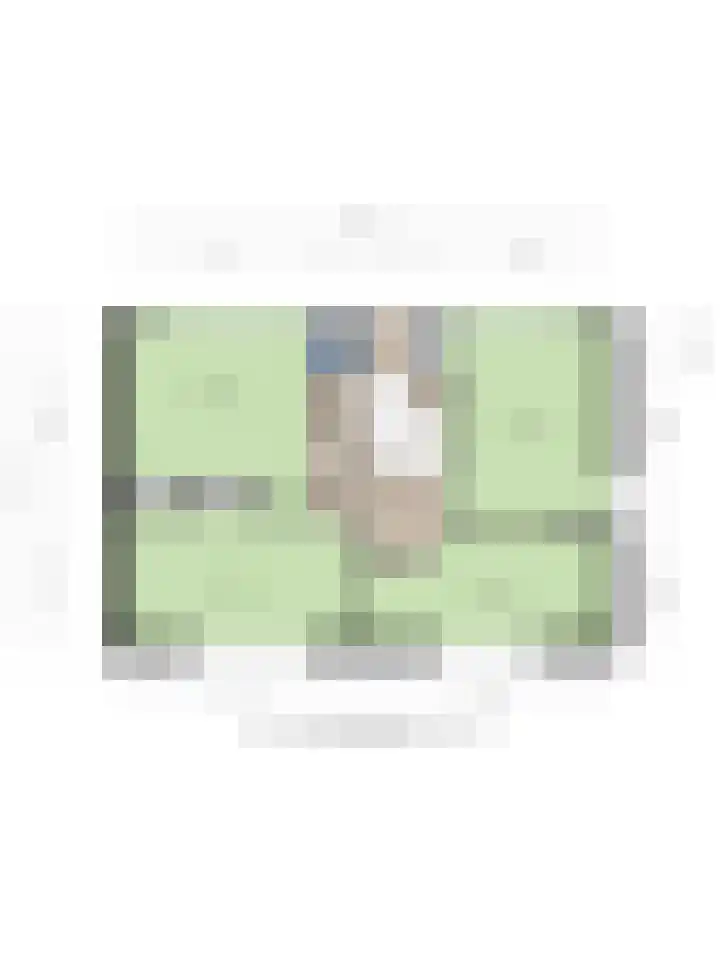 Steinstraat 19 Bruinisse thumbnail 32