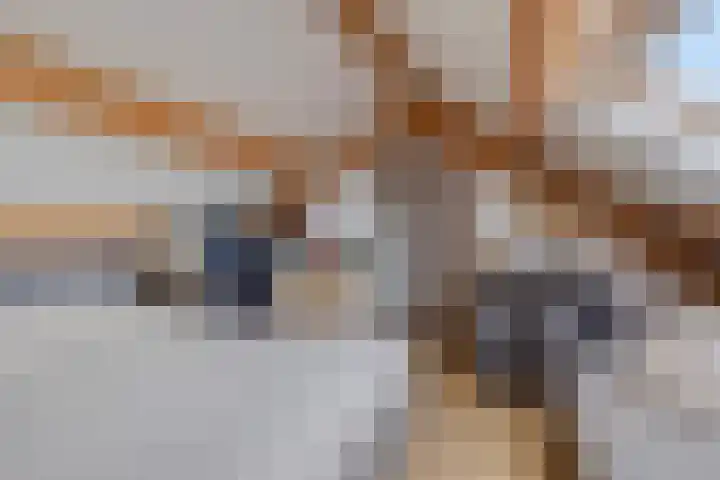 Steinstraat 19 Bruinisse thumbnail 33