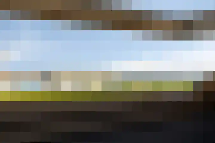 Steinstraat 19 Bruinisse thumbnail 36