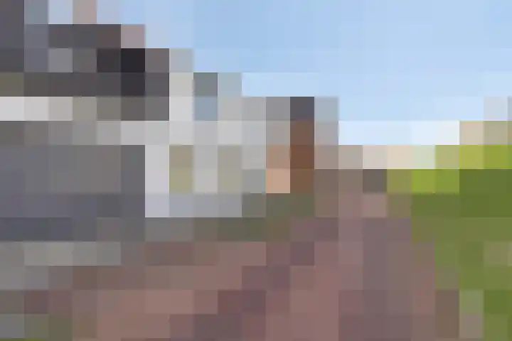Steinstraat 19 Bruinisse thumbnail 38