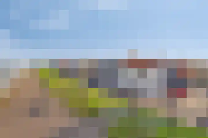 Steinstraat 19 Bruinisse thumbnail 39