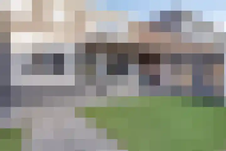 Steinstraat 19 Bruinisse thumbnail 41