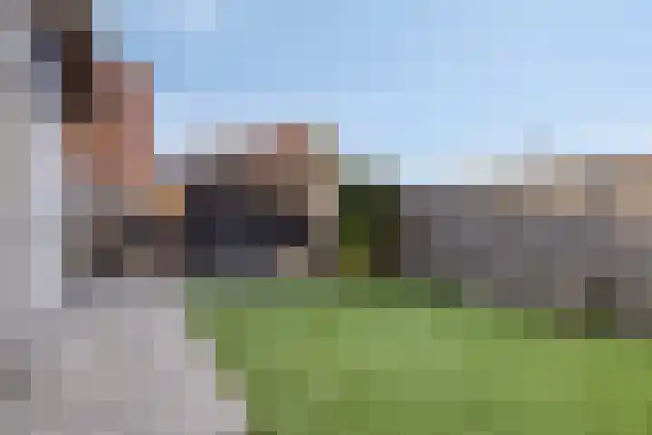 Steinstraat 19 Bruinisse thumbnail 44