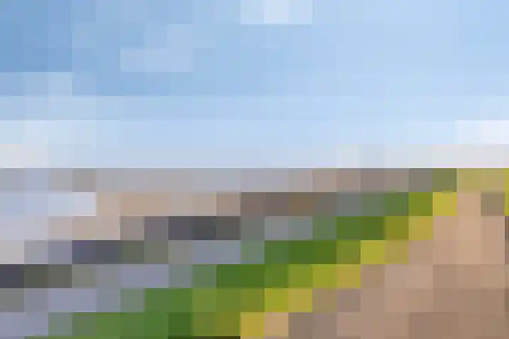 Steinstraat 19 Bruinisse thumbnail 47