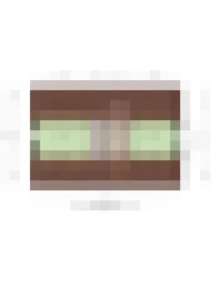 Steinstraat 19 Bruinisse thumbnail 50