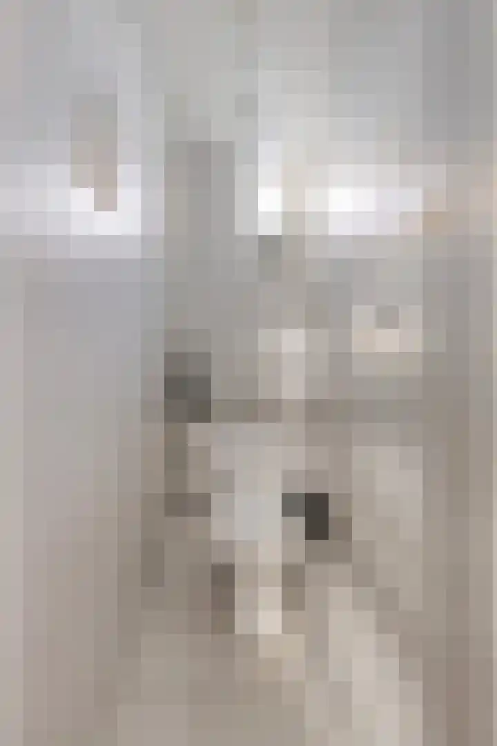Steinstraat 19 Bruinisse thumbnail 6