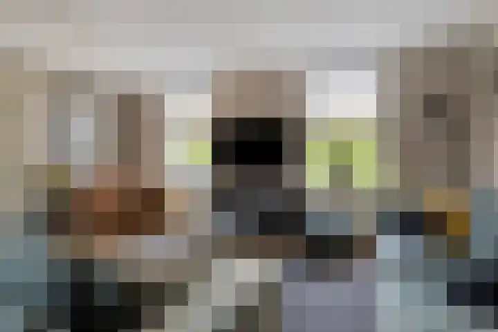 Steinstraat 19 Bruinisse thumbnail 9