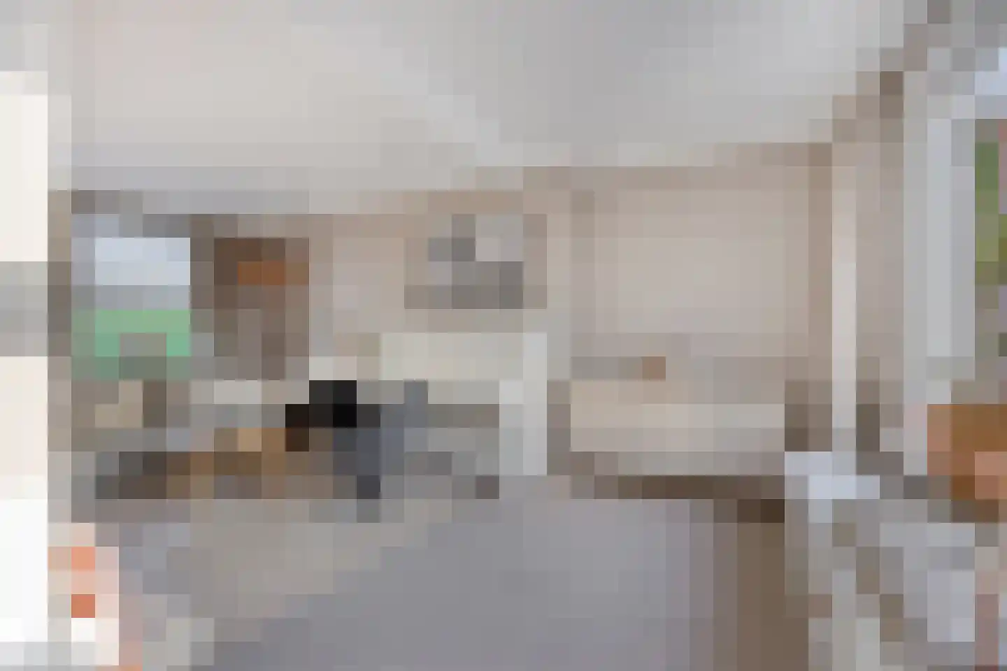 Steinstraat 2 Bruinisse thumbnail 11
