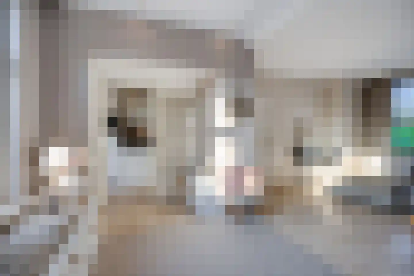 Steinstraat 2 Bruinisse thumbnail 12