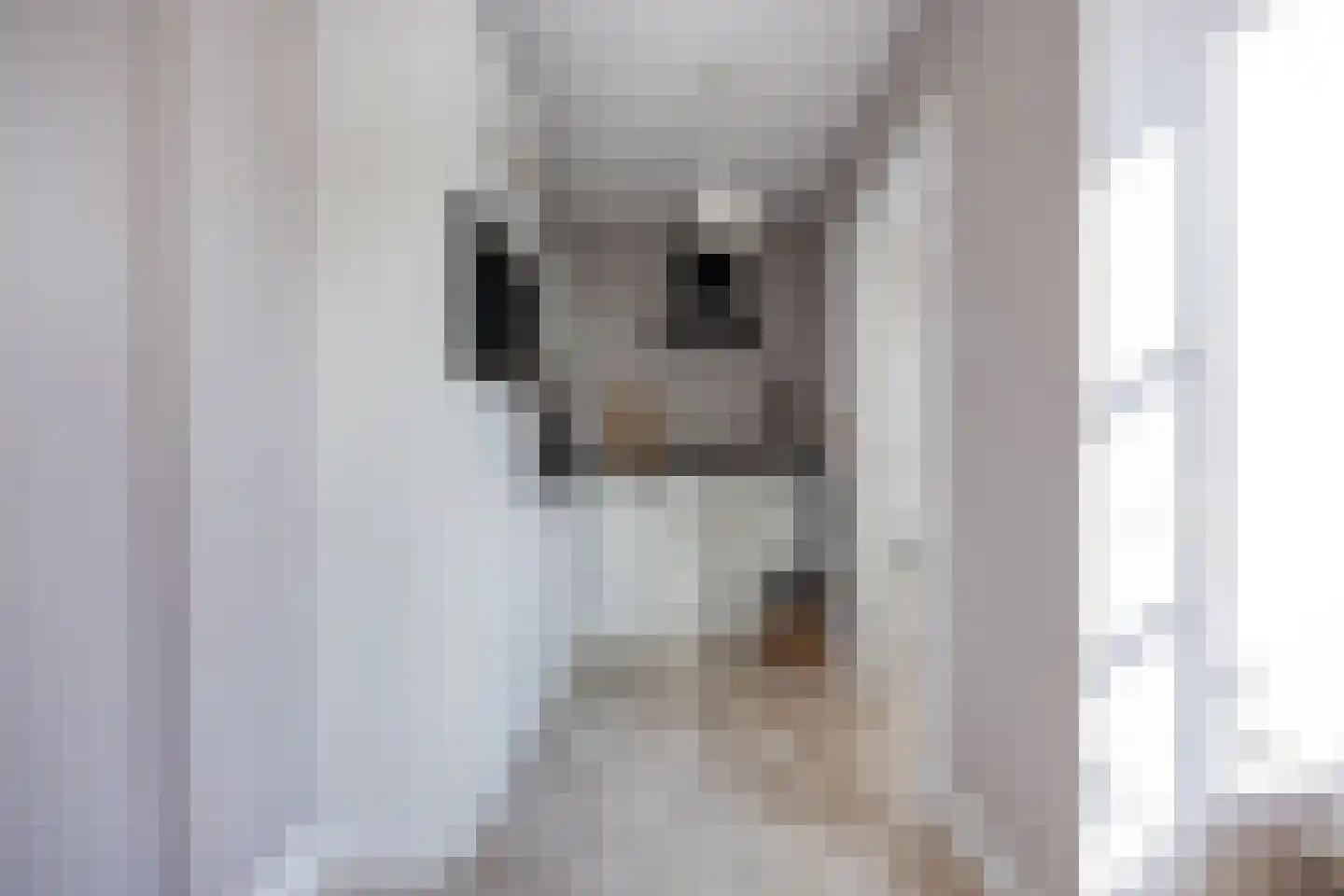 Steinstraat 2 Bruinisse thumbnail 13