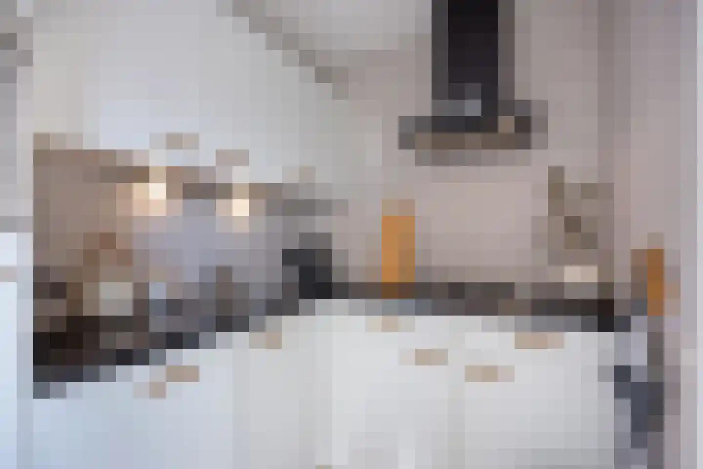 Steinstraat 2 Bruinisse thumbnail 14