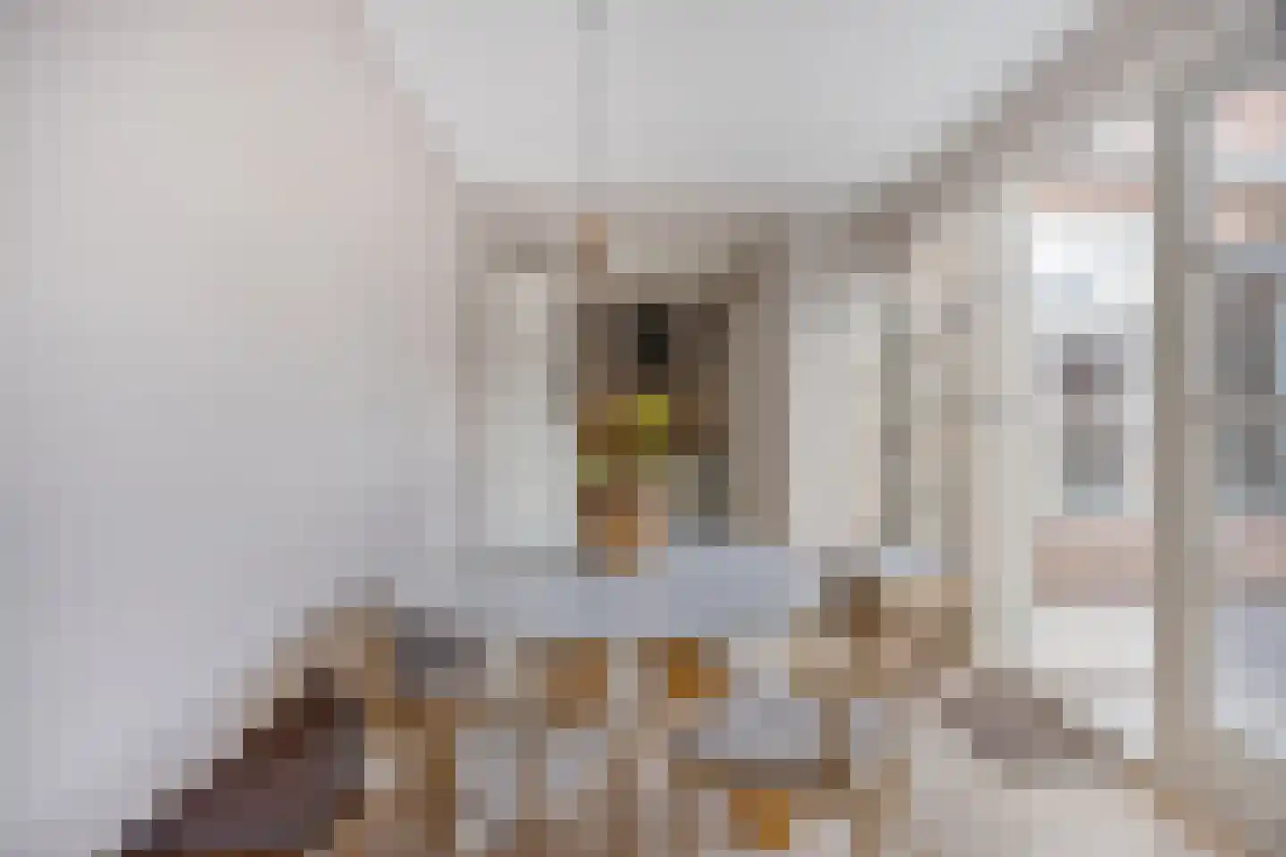 Steinstraat 2 Bruinisse thumbnail 15