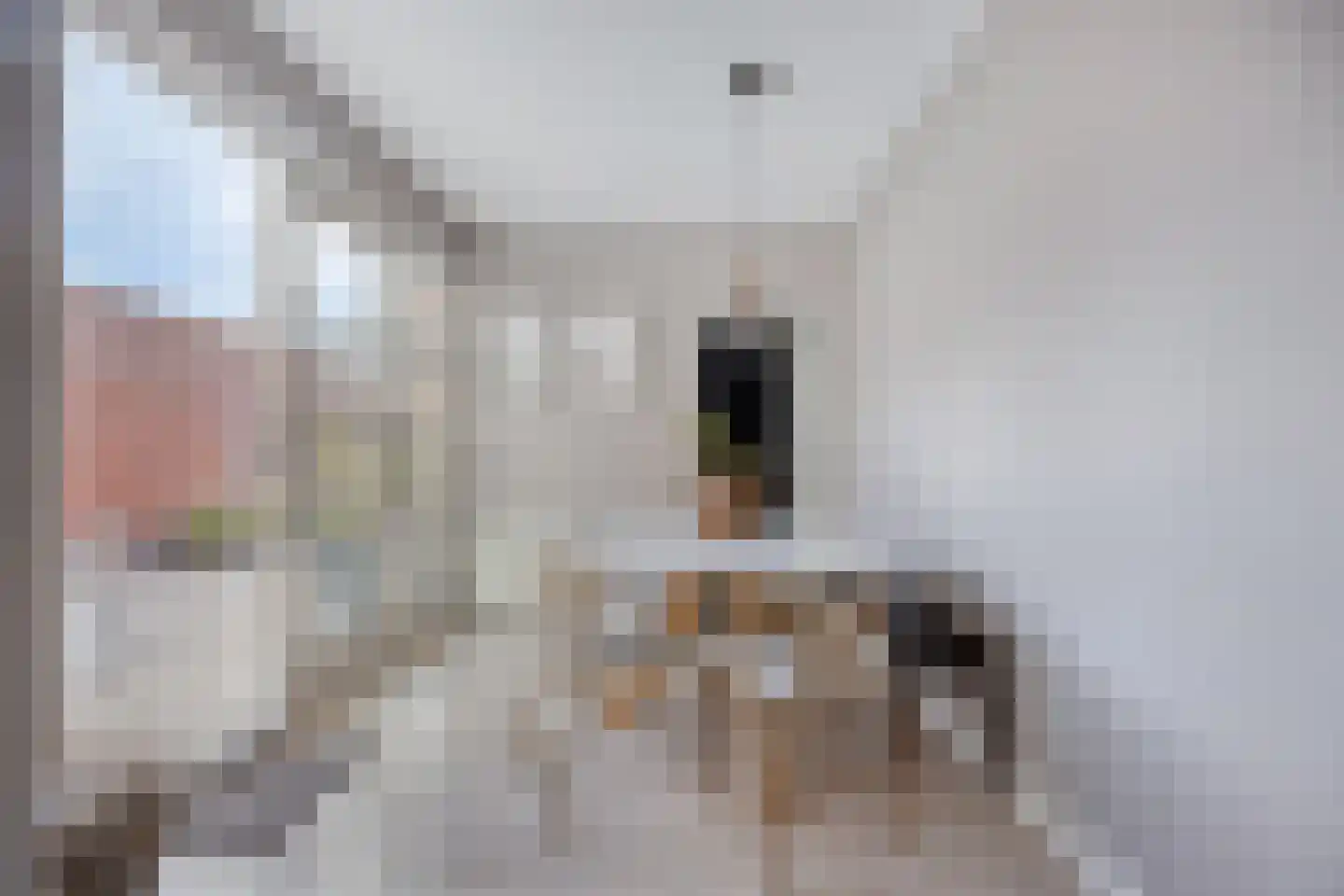 Steinstraat 2 Bruinisse thumbnail 16