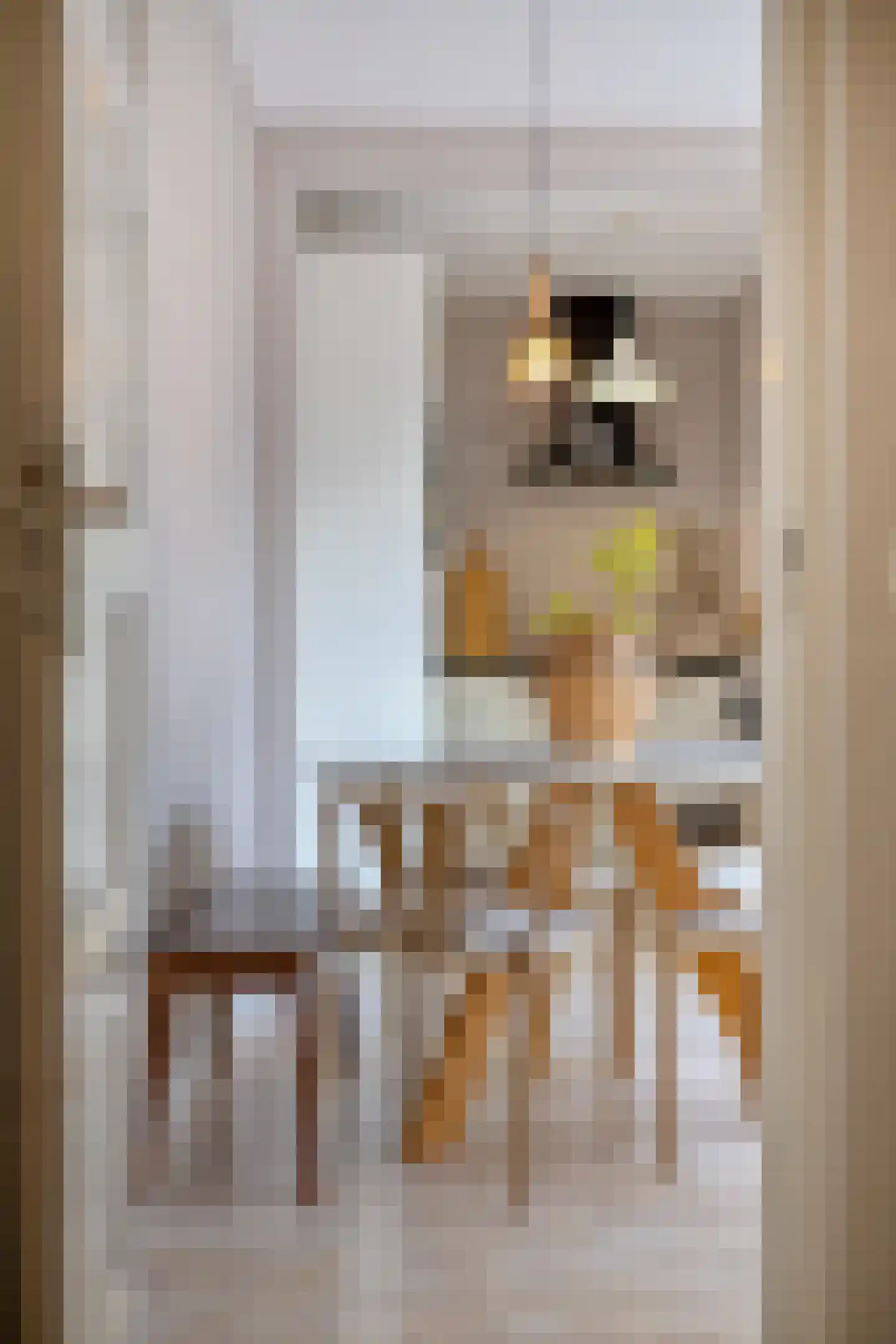 Steinstraat 2 Bruinisse thumbnail 18
