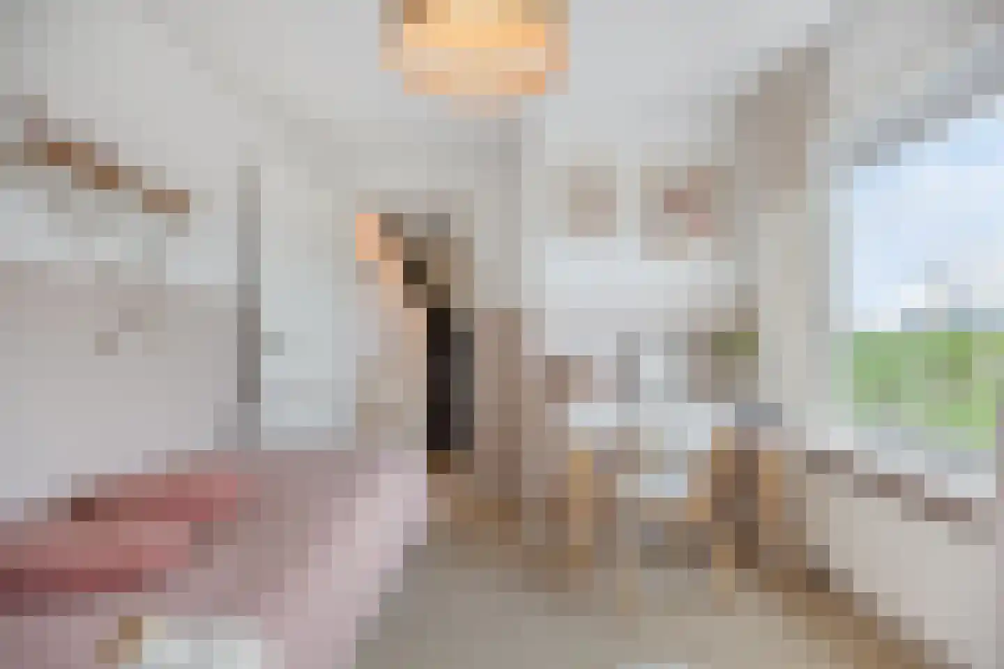 Steinstraat 2 Bruinisse thumbnail 25