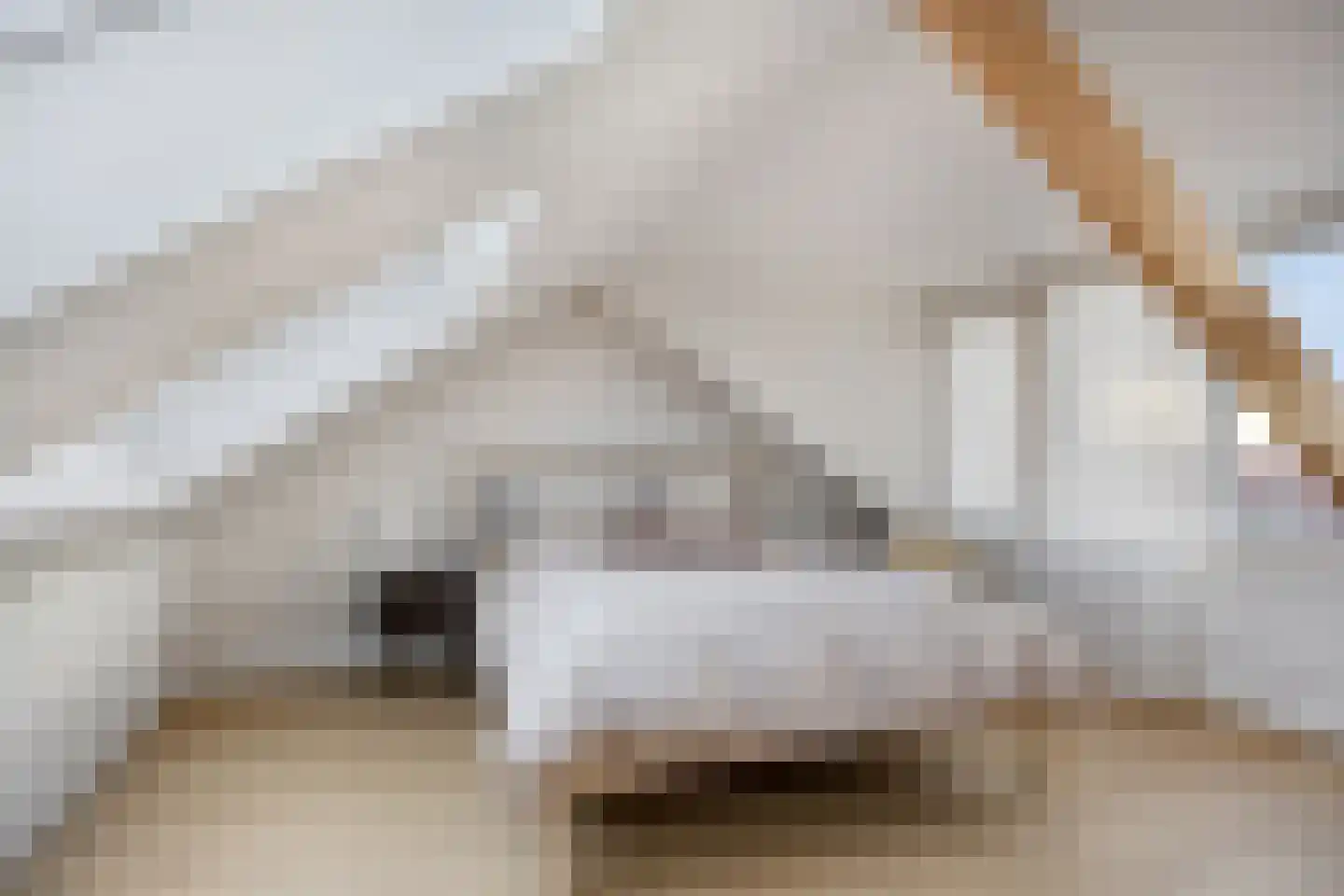 Steinstraat 2 Bruinisse thumbnail 35
