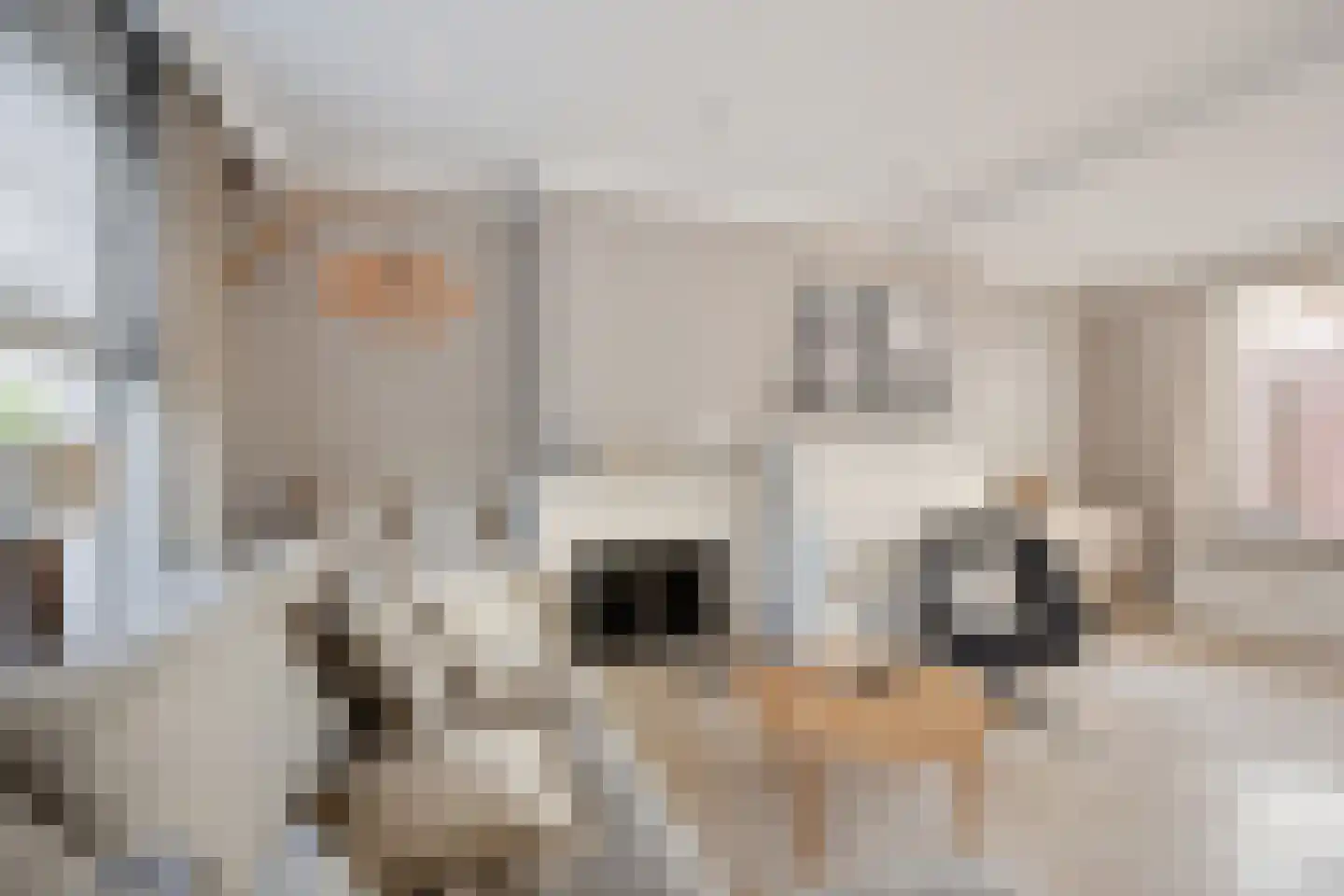 Steinstraat 2 Bruinisse thumbnail 9