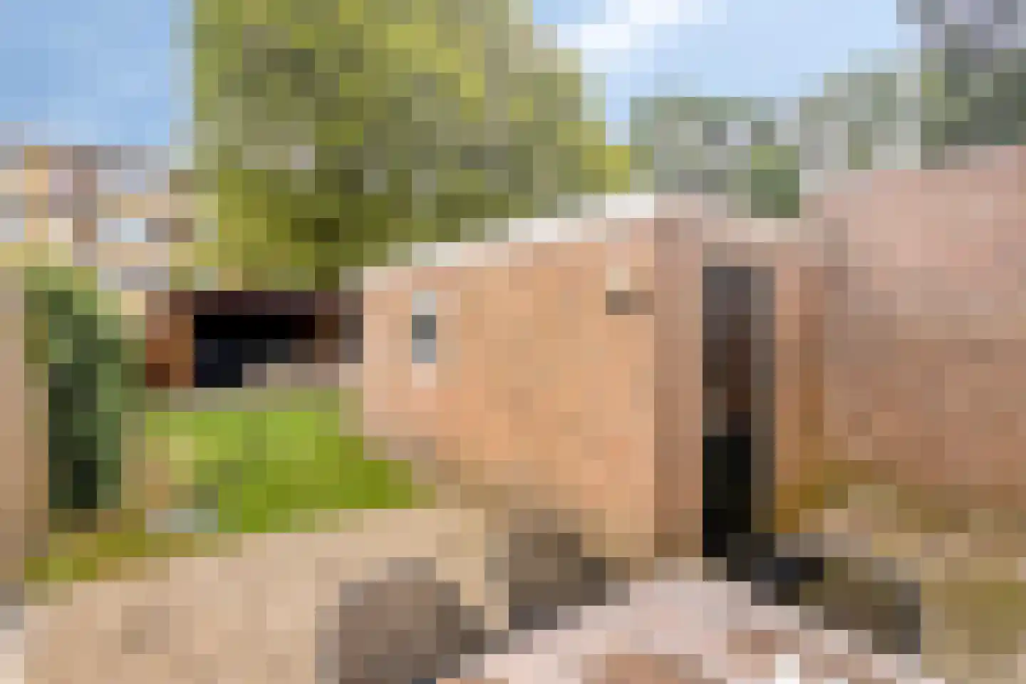 Steinstraat 21 Vaassen thumbnail 22