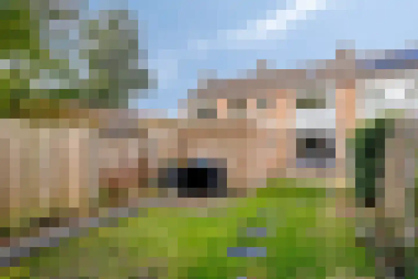Steinstraat 21 Vaassen thumbnail 25