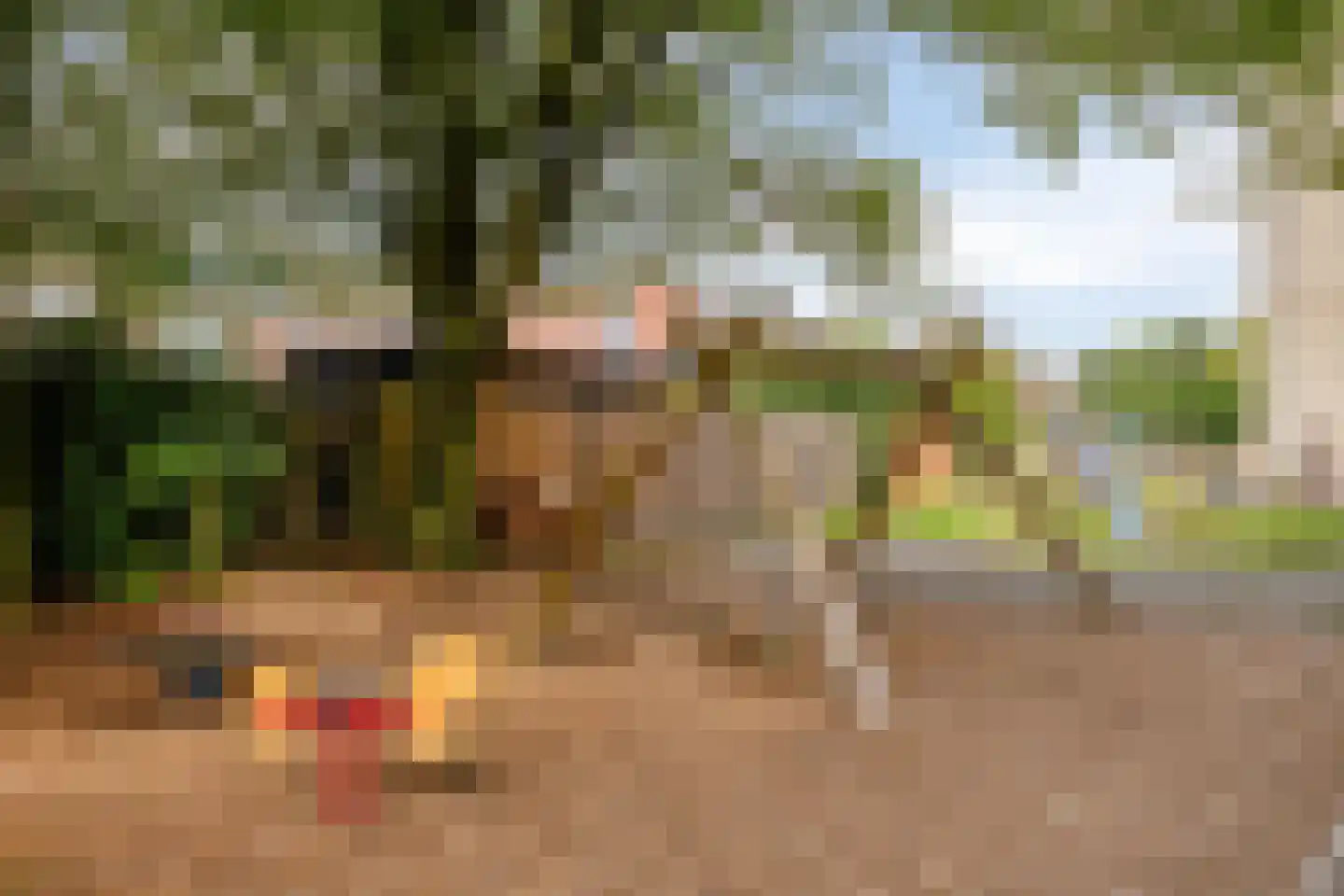 Steinstraat 21 Vaassen thumbnail 26