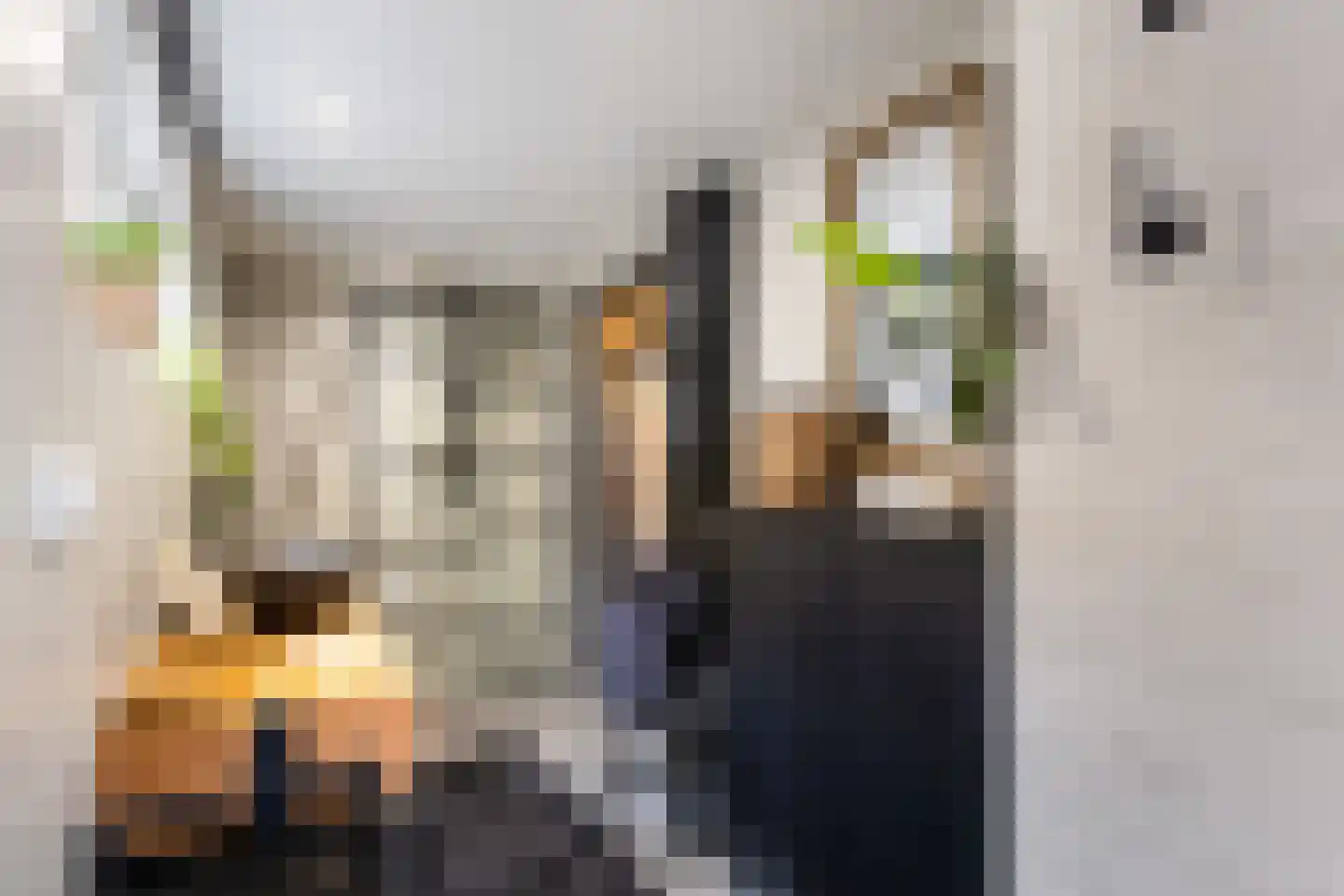 Steinstraat 23 Klundert thumbnail 33
