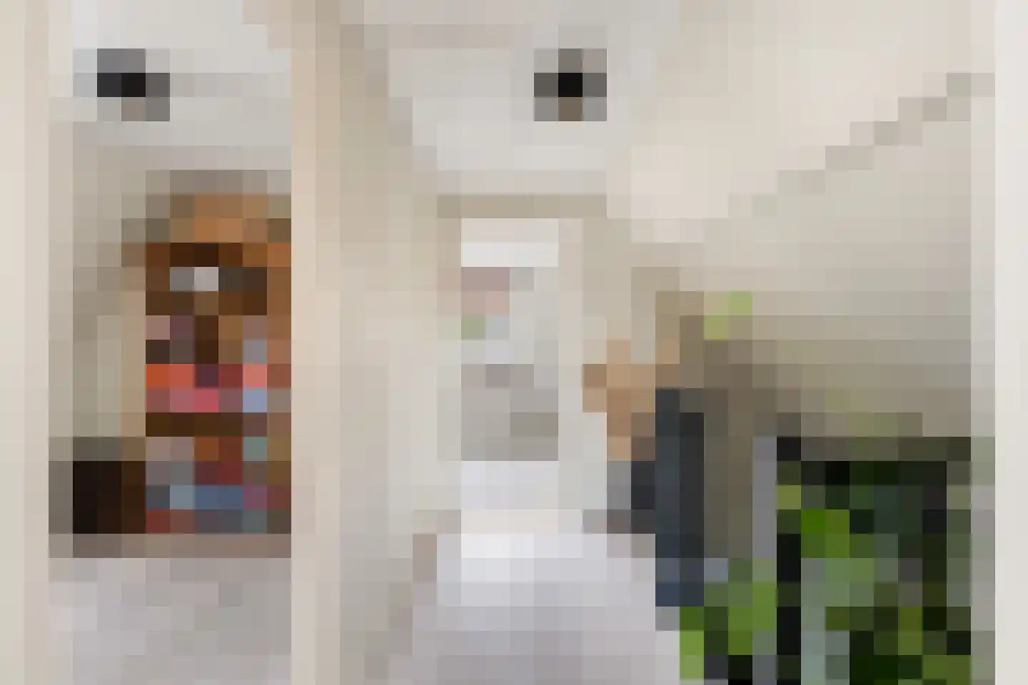Steinstraat 23 Klundert thumbnail 38